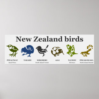 Nya Zeeländska fåglar poster