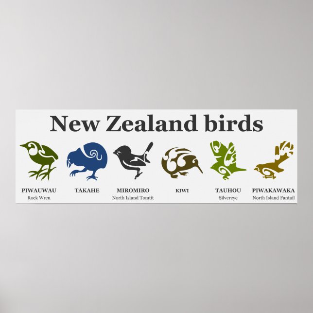 Nya Zeeländska fåglar poster (Framsidan)