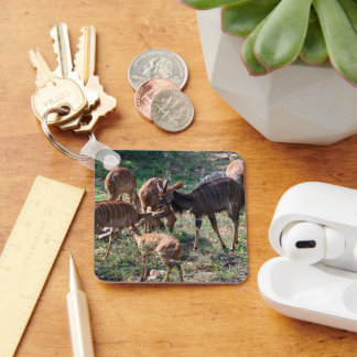 Nyala, slående randig antilop nyckelring