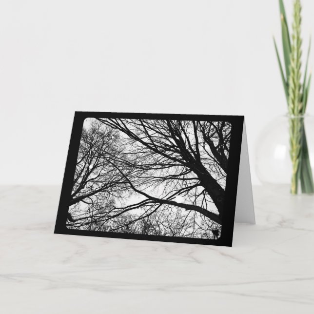 Nyår & Solstånd: Snöfall på Lönn Helgkort (Framsida)