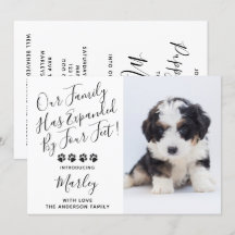 Nyare dockningsstation för Pet Hund