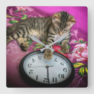 Nyårsafton Clock Cat 12 Midnight Countdown Fyrkantig Klocka