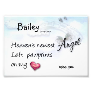 Nyaste Angel lämnat tass avtryck på mitt hjärtavtr Fototryck