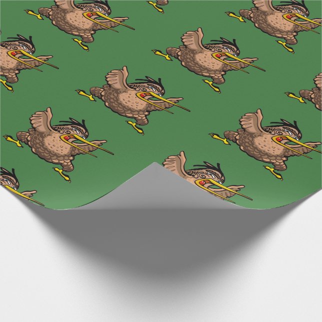 Nyazeeländsk Kiwifågel för tecknad som gör en Presentpapper (Hörn)