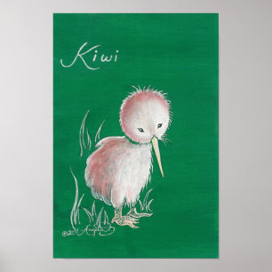 Nyazeeländsk Kiwifågel Poster