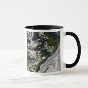 Nyazeeländska 5 mugg
