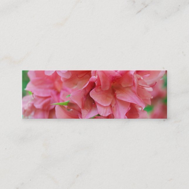 NYBG: Nr. 116 Mini Visitkort (Framsida)