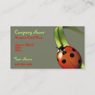 Nybiljett för Lady Bug Visitkort