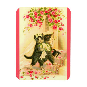 nyblivna kattungar magnet