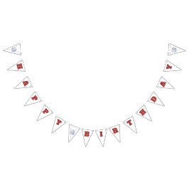 Nybörjare på Flaggor, 1:a födelsedag Vimplar