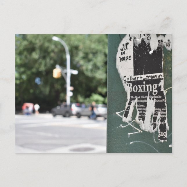NYC Boxing Flyer-foto för Väster i centralparken Vykort (Framsida)