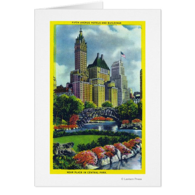 NYC Central Park View of 5th Ave Hotels Hälsningskort (Framsidan)