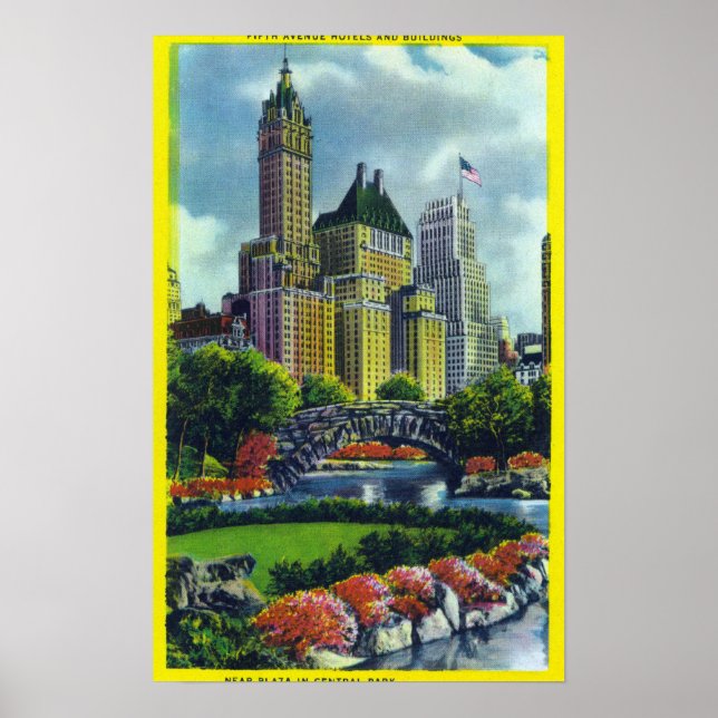 NYC Central Park View of 5th Ave Hotels Poster (Framsidan)