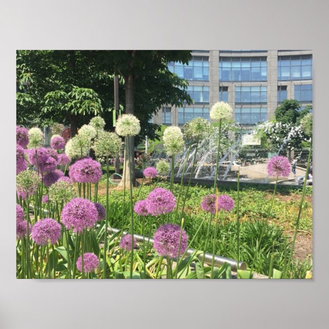 NYC Columbus Circle New York City Lila Allium Poster (Framsidan)