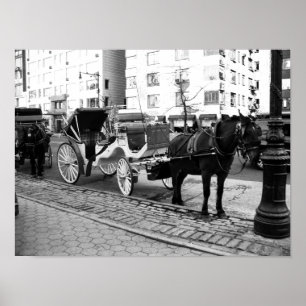 NYC Horse and Carriage Black White Photo Poster