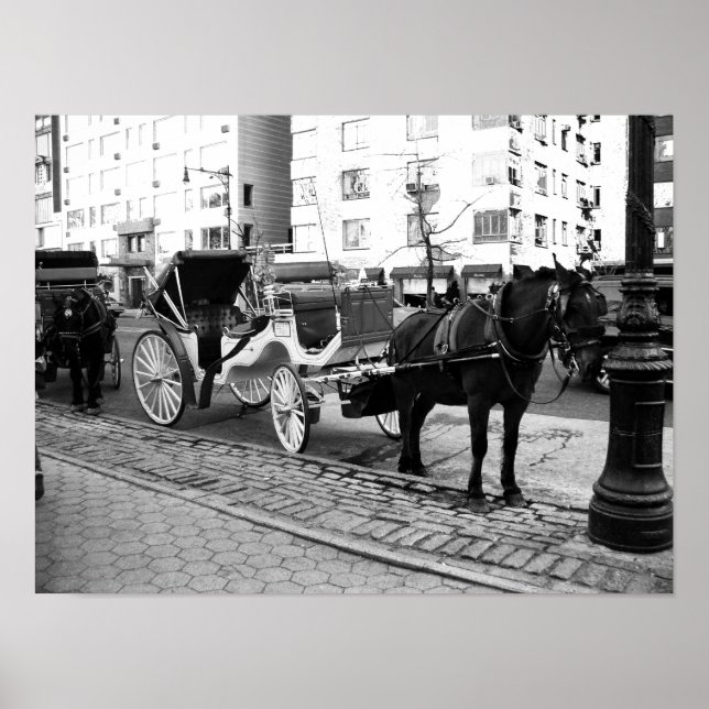 NYC Horse and Carriage Black White Photo Poster (Framsidan)