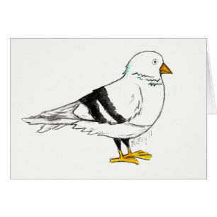 NYC New York City Pigeon Bird Hälsningskort