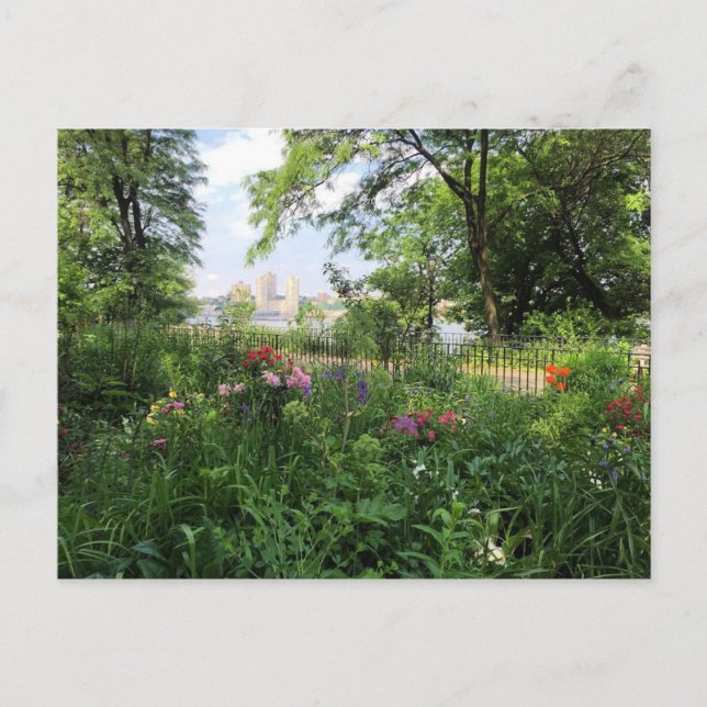 NYC Riverside Park Hudson River New York-vykort Vykort (Framsida)