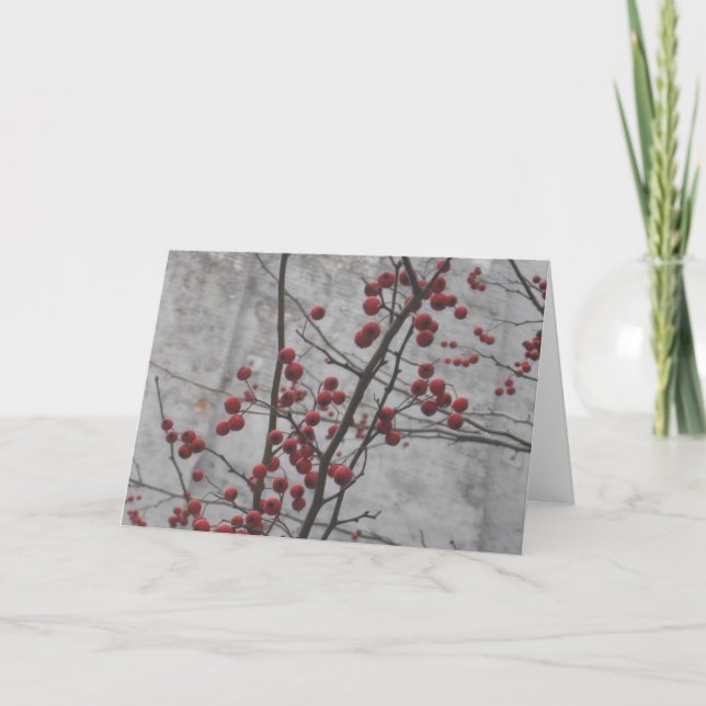 NYC-vinter Kort (Framsida)