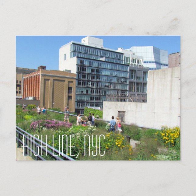 NYC-vykort för hög linje Vykort (Framsida)