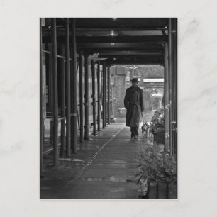 NYC Winter Dog Walker Postcard Vykort