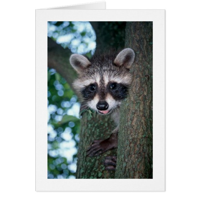 nyck hälsningskort (Framsidan)