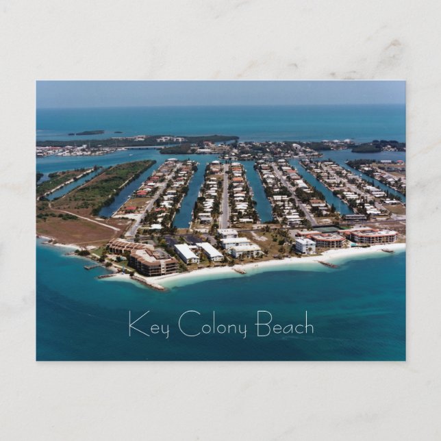 Nyckel Colony Beach, Marathon, Florida Vykort (Framsida)