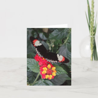 Nyckel- fjäril Notecard för piano Kort