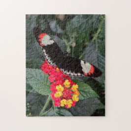 Nyckel- fjärilspussel för piano pussel