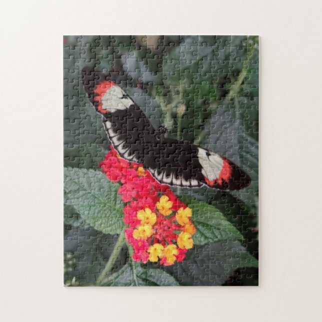 Nyckel- fjärilspussel för piano pussel (Vertikal)