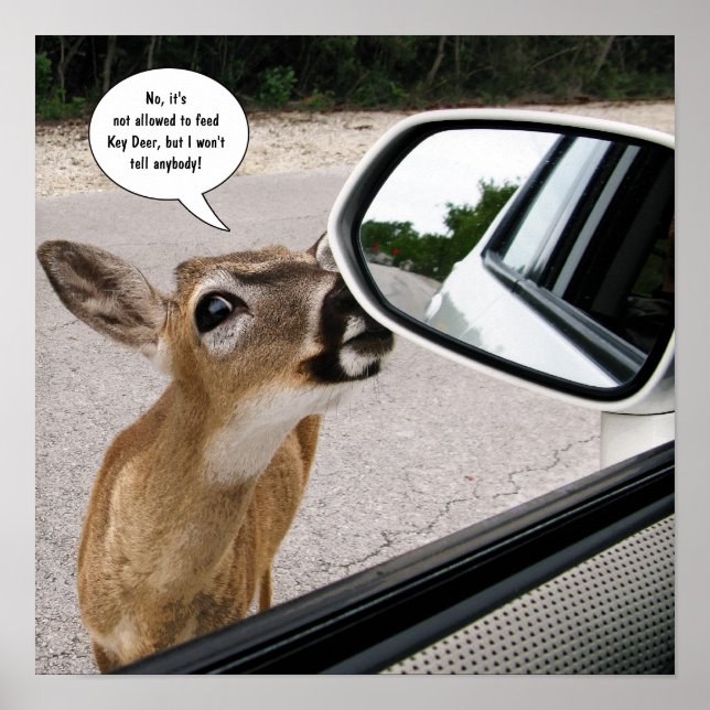 Nyckel Hjort Poster (Framsidan)