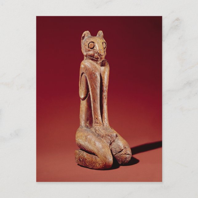 Nyckel Marco Cat från Florida Vykort (Framsida)