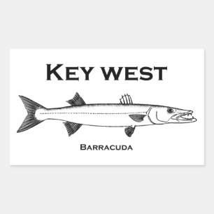 Nyckel Väster Barracuda Rektangulärt Klistermärke