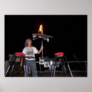 Nyckel Väster Cat Man Poster