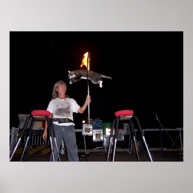 Nyckel Väster Cat Man Poster (Framsidan)