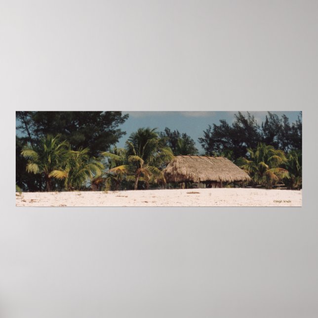Nyckel Väster Florida med Handflatan Poster (Framsidan)