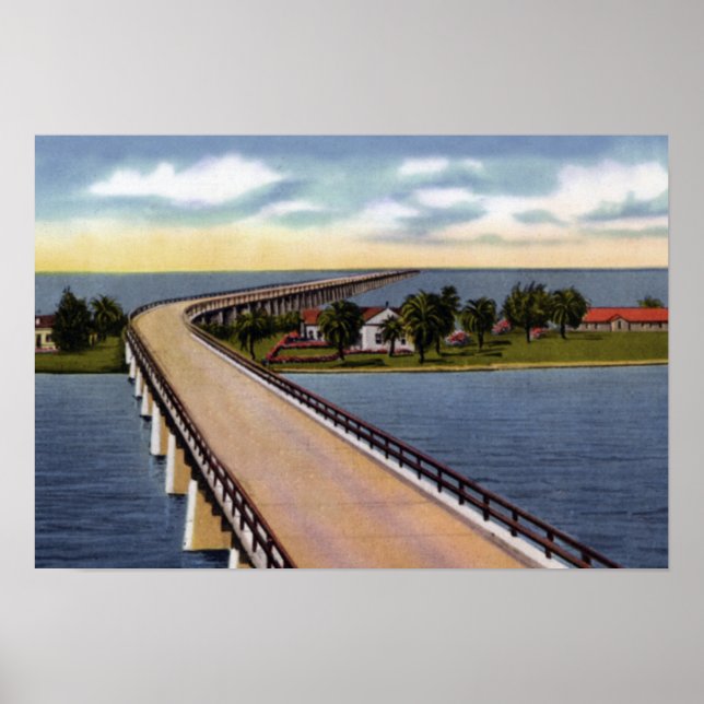 Nyckel Väster Florida Pigeon Nyckel Poster (Framsidan)