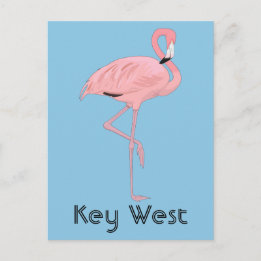 Nyckel Väster Florida Rosa Flamingo Vykort