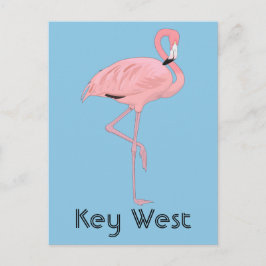 Nyckel Väster Florida Rosa Flamingo Vykort
