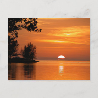 Nyckel Väster, Florida sunset, vackert foto Vykort