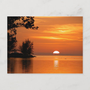 Nyckel Väster Florida Sunset Vykort