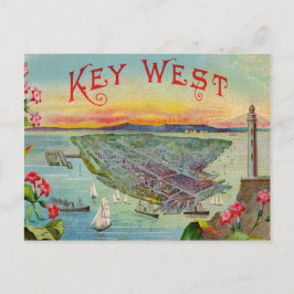 Nyckel Väster Florida Vintage Illustration Vykort