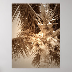 Nyckel Väster-Handflatan - Sepia Poster