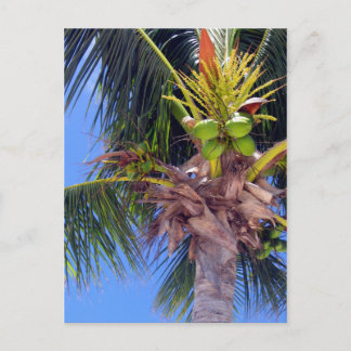 Nyckel Väster Handflatan - vykort