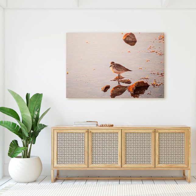 Nyckel Väster Shorebird Reflection Florida Nycklar Canvastryck (Skapare uppladdad)