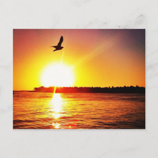 Nyckel Väster Sunset Vykort