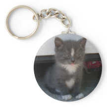 Nyckelcahin BOLD KATTUNGE