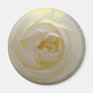 Nyckeldekan för vit ros-blommor magnet