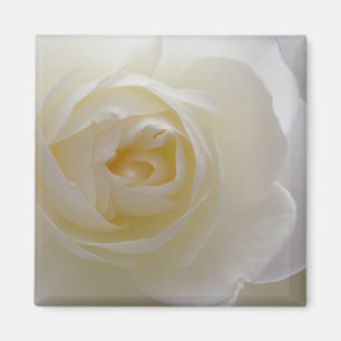 Nyckeldekan för vit ros-blommor magnet