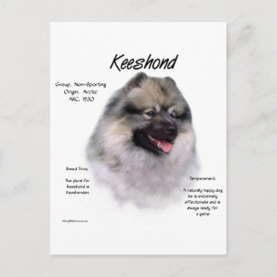 Nyckelhistorikdesign Vykort